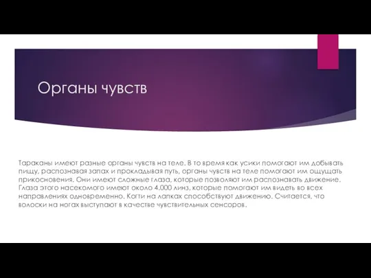 Органы чувств Тараканы имеют разные органы чувств на теле. В то