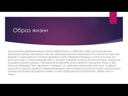 Образ жизни Большинство тараканов ведут ночной образ жизни и избегают света,