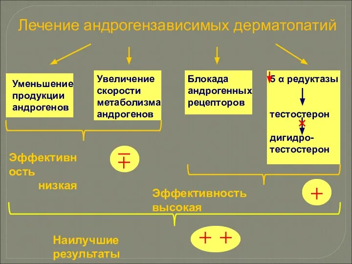 Лечение андрогензависимых дерматопатий Уменьшение продукции андрогенов Увеличение скорости метаболизма андрогенов Блокада