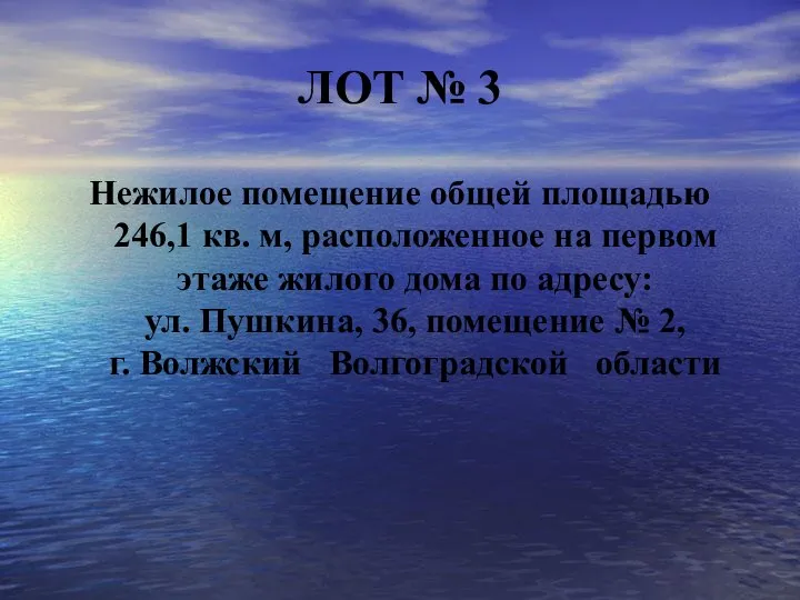 ЛОТ № 3 Нежилое помещение общей площадью 246,1 кв. м, расположенное