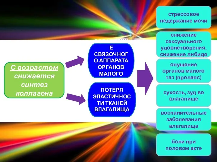 С возрастом снижается синтез коллагена ОСЛАБЛЕНИЕ СВЯЗОЧНОГО АППАРАТА ОРГАНОВ МАЛОГО ТАЗА