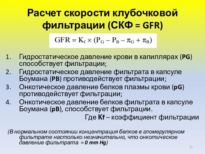 Расчет скорости клубочковой фильтрации (СКФ = GFR) Гидростатическое давление крови в