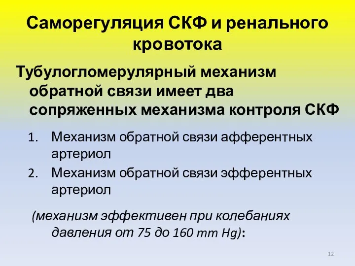 Саморегуляция СКФ и ренального кровотока Тубулогломерулярный механизм обратной связи имеет два