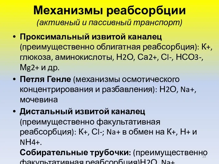 Механизмы реабсорбции (активный и пассивный транспорт) Проксимальный извитой каналец (преимущественно облигатная