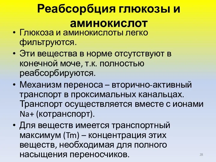 Реабсорбция глюкозы и аминокислот Глюкоза и аминокислоты легко фильтруются. Эти вещества