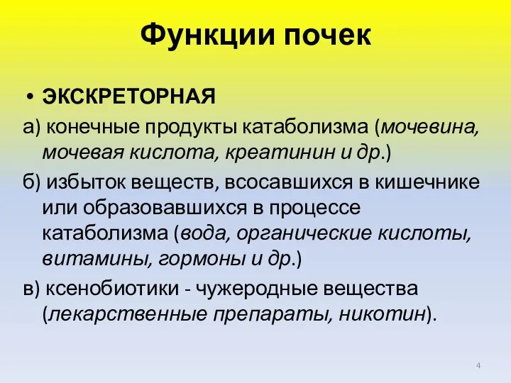 Функции почек ЭКСКРЕТОРНАЯ а) конечные продукты катаболизма (мочевина, мочевая кислота, креатинин