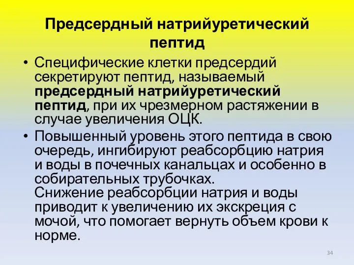 Предсердный натрийуретический пептид Специфические клетки предсердий секретируют пептид, называемый предсердный натрийуретический