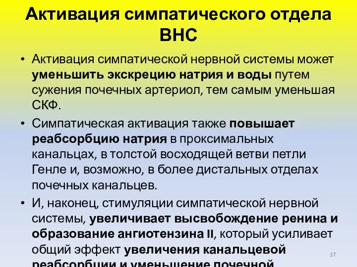 Активация симпатического отдела ВНС Активация симпатической нервной системы может уменьшить экскрецию