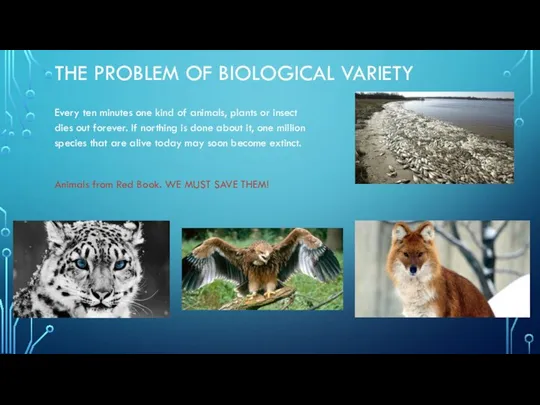 THE PROBLEM OF BIOLOGICAL VARIETY Every ten minutes one kind of