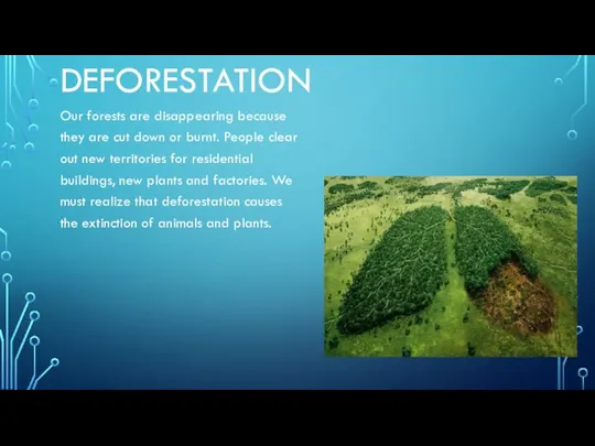 DEFORESTATION Our forests are disappearing because they are cut down or