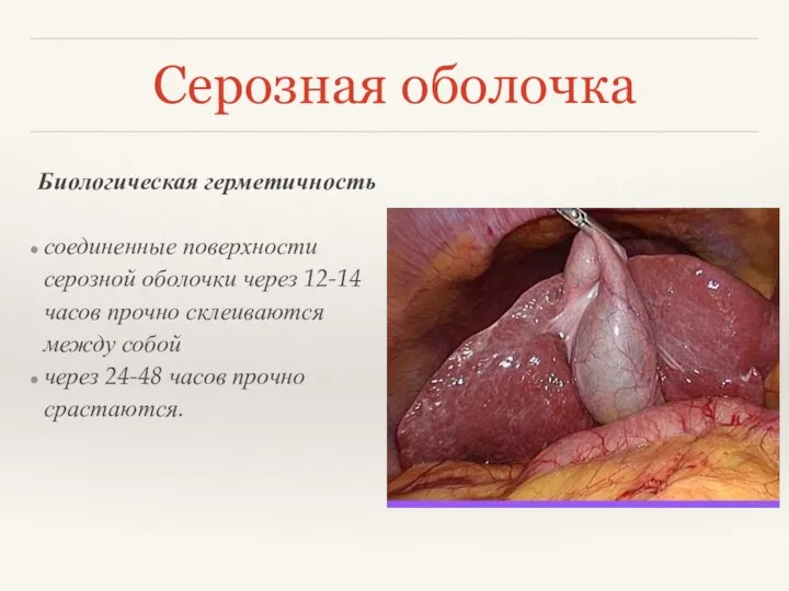 Серозная оболочка Биологическая герметичность соединенные поверхности серозной оболочки через 12-14 часов