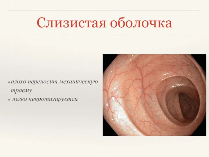 Слизистая оболочка плохо переносит механическую травму легко некротизируется