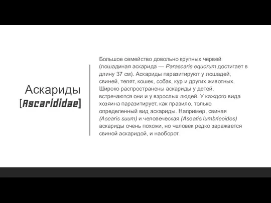 Аскариды (Ascarididae) Большое семейство довольно крупных червей (лошадиная аскарида — Parascaris