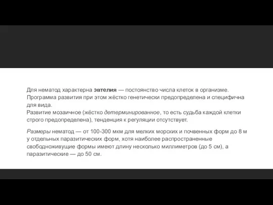 Для нематод характерна эвтелия — постоянство числа клеток в организме. Программа