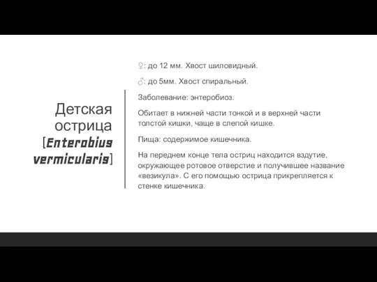 Детская острица (Enterobius vermicularis) ♀: до 12 мм. Хвост шиловидный. ♂: