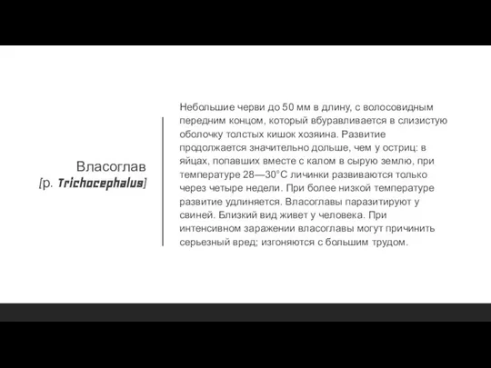 Власоглав (р. Trichocephalus) Небольшие черви до 50 мм в длину, с