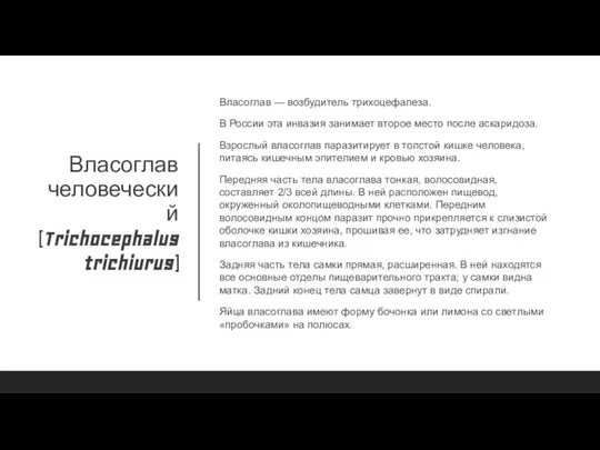 Власоглав человеческий (Trichocephalus trichiurus) Власоглав — возбудитель трихоцефалеза. В России эта