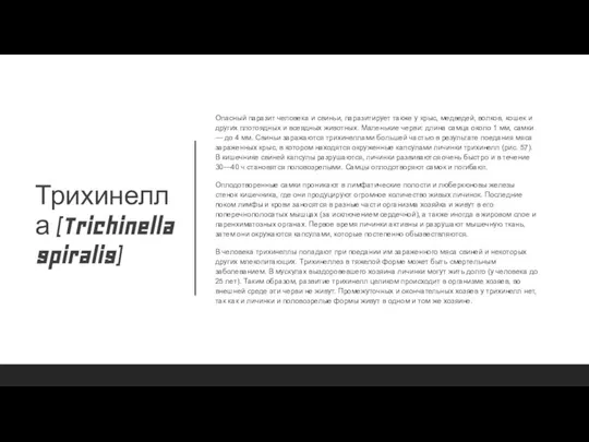 Трихинелла (Trichinella spiralis) Опасный паразит человека и свиньи, паразитирует также у