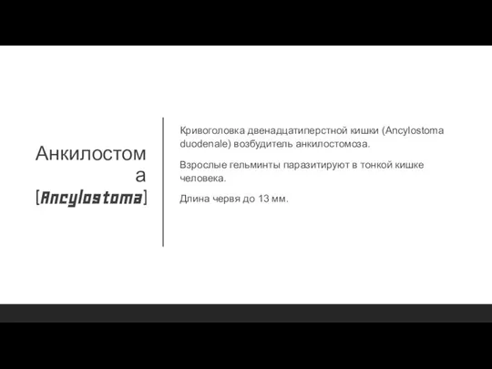 Анкилостома (Ancylostoma) Кривоголовка двенадцатиперстной кишки (Ancylostoma duodenale) возбудитель анкилостомоза. Взрослые гельминты