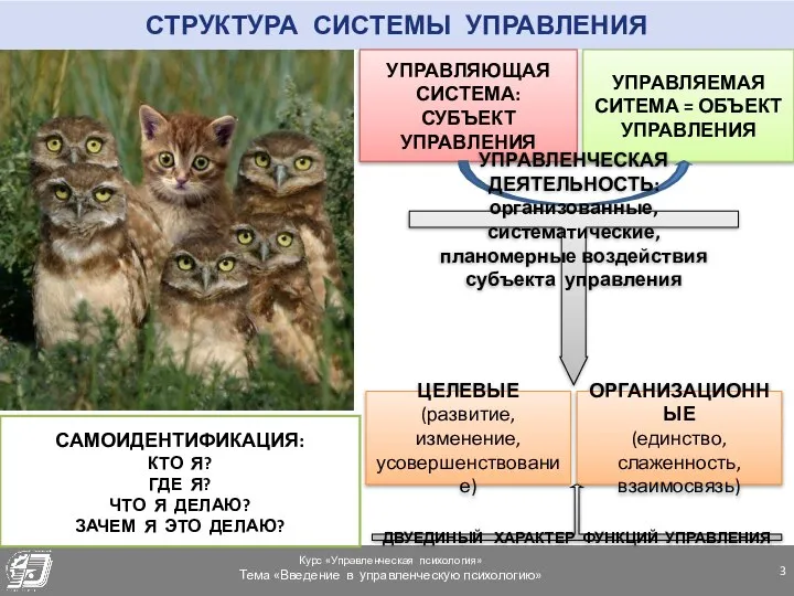 СТРУКТУРА СИСТЕМЫ УПРАВЛЕНИЯ УПРАВЛЯЮЩАЯ СИСТЕМА: СУБЪЕКТ УПРАВЛЕНИЯ УПРАВЛЯЕМАЯ СИТЕМА = ОБЪЕКТ