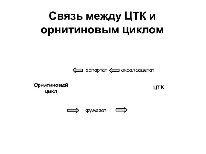 Связь между ЦТК и орнитиновым циклом ЦТК Орнитиновый цикл фумарат оксалоацетат аспартат
