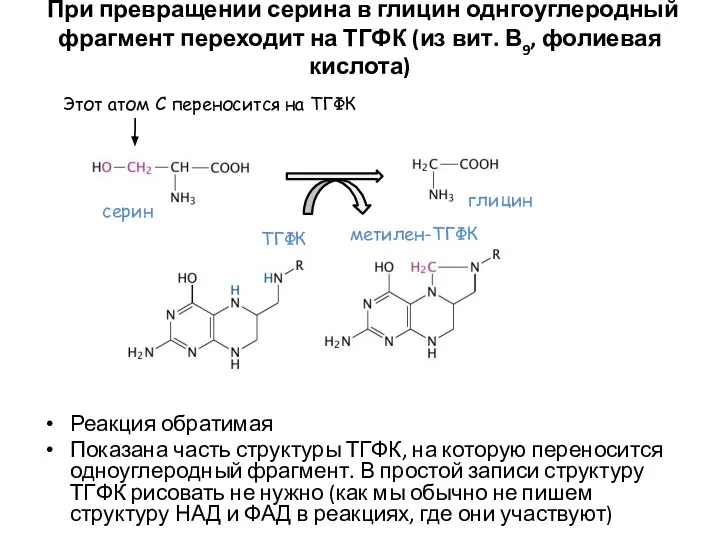 При превращении серина в глицин однгоуглеродный фрагмент переходит на ТГФК (из