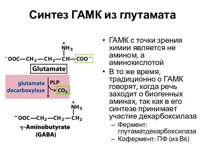 Синтез ГАМК из глутамата ГАМК с точки зрения химии является не