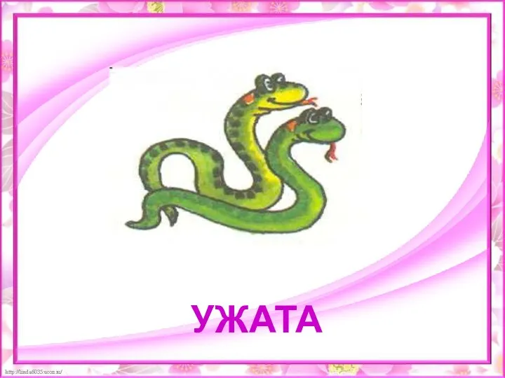 УЖАТА