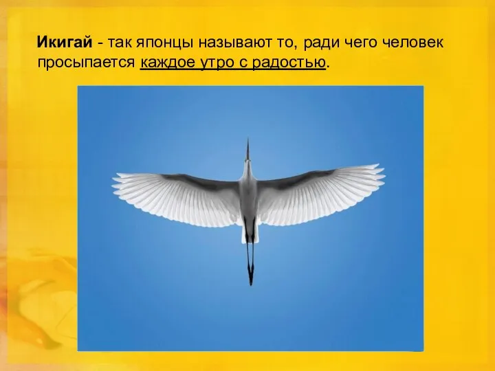 Икигай - так японцы называют то, ради чего человек просыпается каждое утро с радостью.