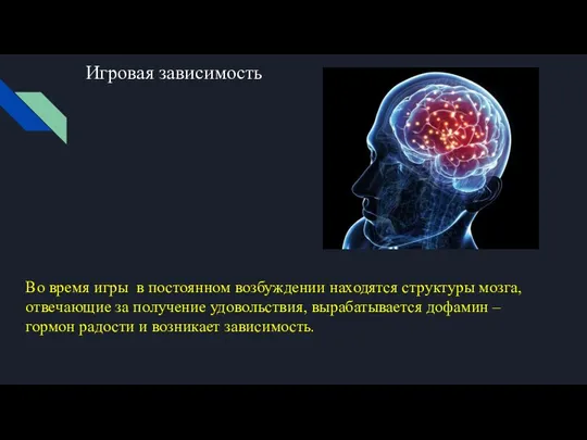 Игровая зависимость Во время игры в постоянном возбуждении находятся структуры мозга,