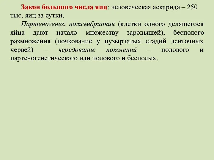 Закон большого числа яиц: человеческая аскарида – 250 тыс. яиц за