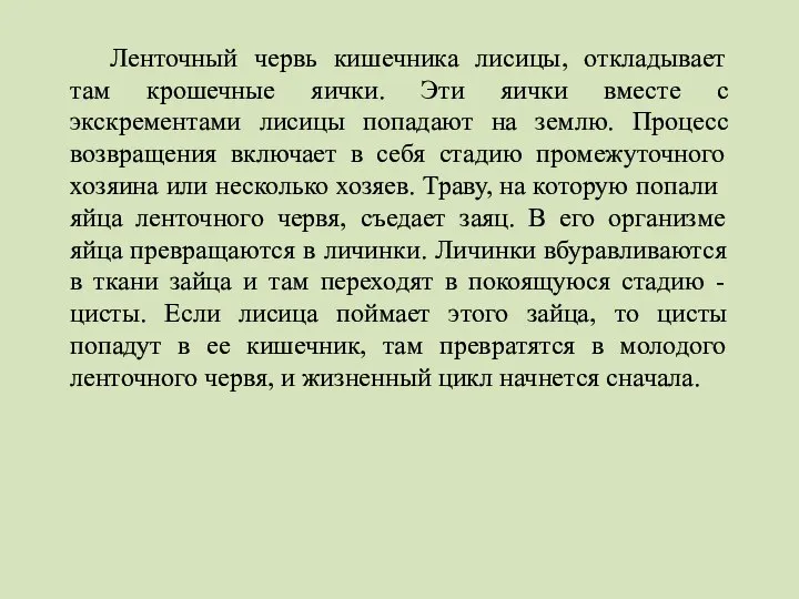 Ленточный червь кишечника лисицы, откладывает там крошечные яички. Эти яички вместе