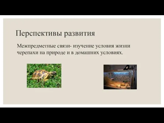 Перспективы развития Межпредметные связи- изучение условия жизни черепахи на природе и в домашних условиях.