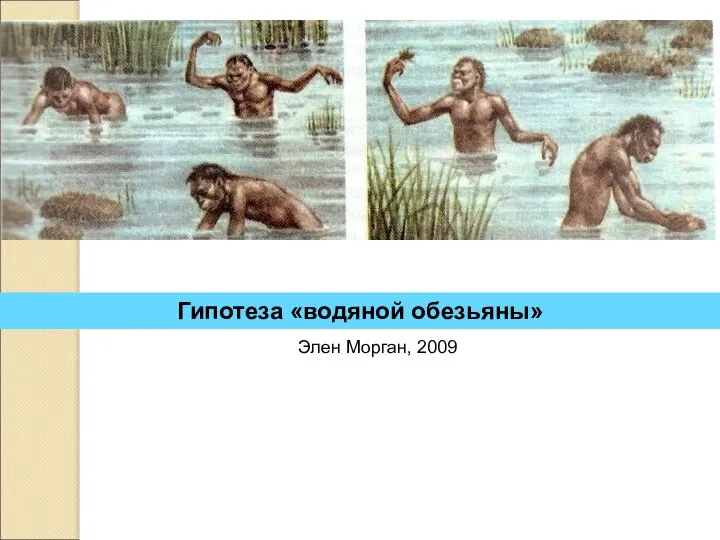 Гипотеза «водяной обезьяны» Элен Морган, 2009