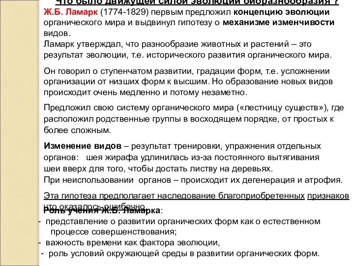 Что было движущей силой эволюции биоразнообразия ? Ж.Б. Ламарк (1774-1829) первым