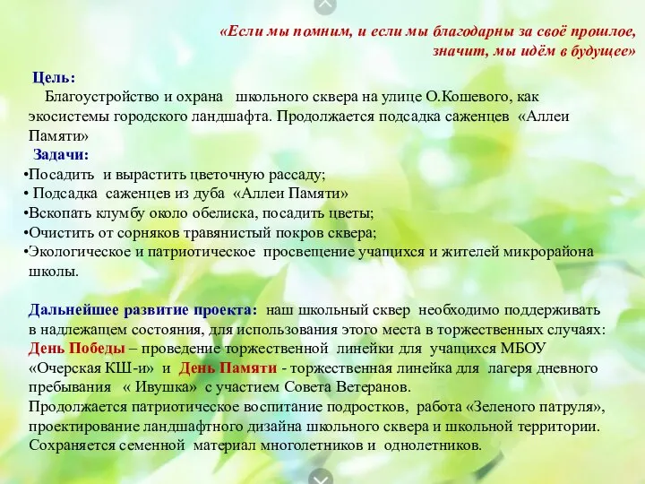 Цель: Благоустройство и охрана школьного сквера на улице О.Кошевого, как экосистемы