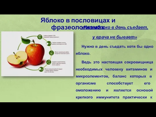 Яблоко в пословицах и фразеологизмах «Кто яблоко в день съедает, у