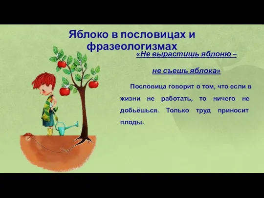 Яблоко в пословицах и фразеологизмах «Не вырастишь яблоню – не съешь