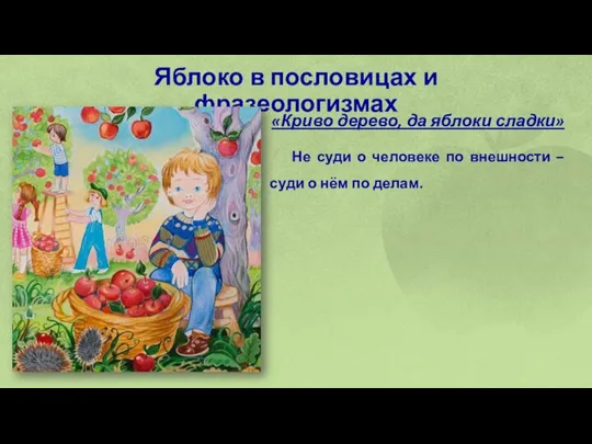 Яблоко в пословицах и фразеологизмах «Криво дерево, да яблоки сладки» Не