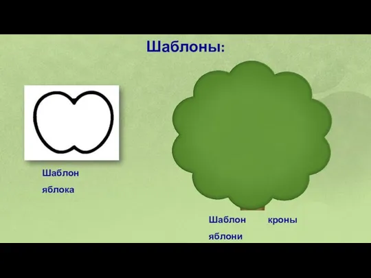 Шаблоны: Шаблон яблока Шаблон кроны яблони