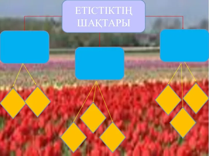 ЕТІСТІКТІҢ ШАҚТАРЫ