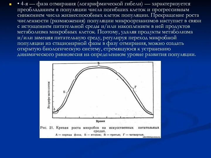 • 4-я — фаза отмирания (логарифмической гибели) — характеризуется преобладанием в