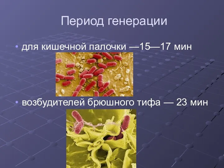 Период генерации для кишечной палочки —15—17 мин возбудителей брюшного тифа — 23 мин