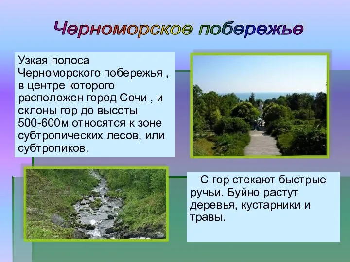 Узкая полоса Черноморского побережья , в центре которого расположен город Сочи