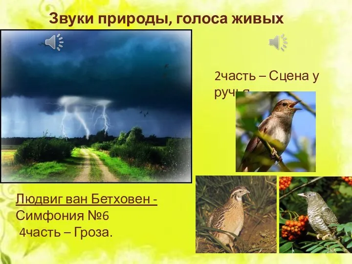 Звуки природы, голоса живых существ. Людвиг ван Бетховен - Симфония №6