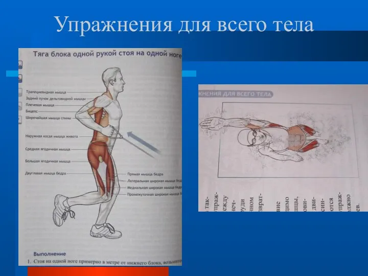 Упражнения для всего тела