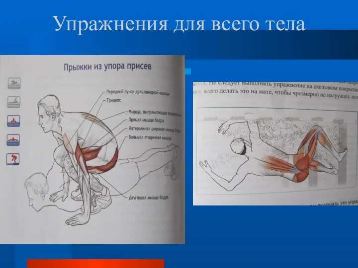 Упражнения для всего тела