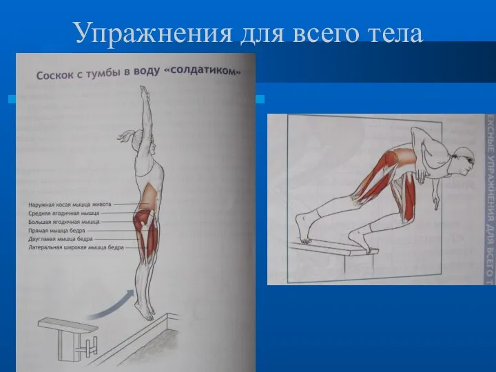 Упражнения для всего тела