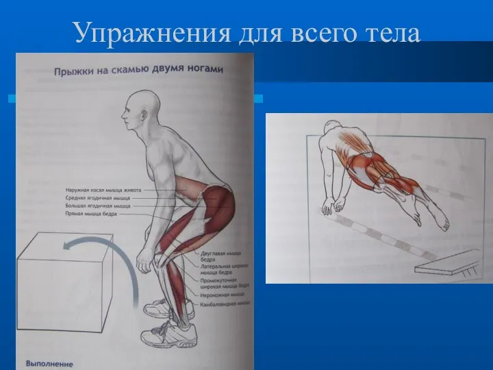 Упражнения для всего тела