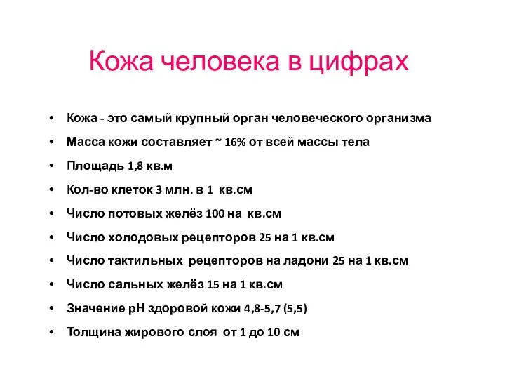 Кожа человека в цифрах Кожа - это самый крупный орган человеческого